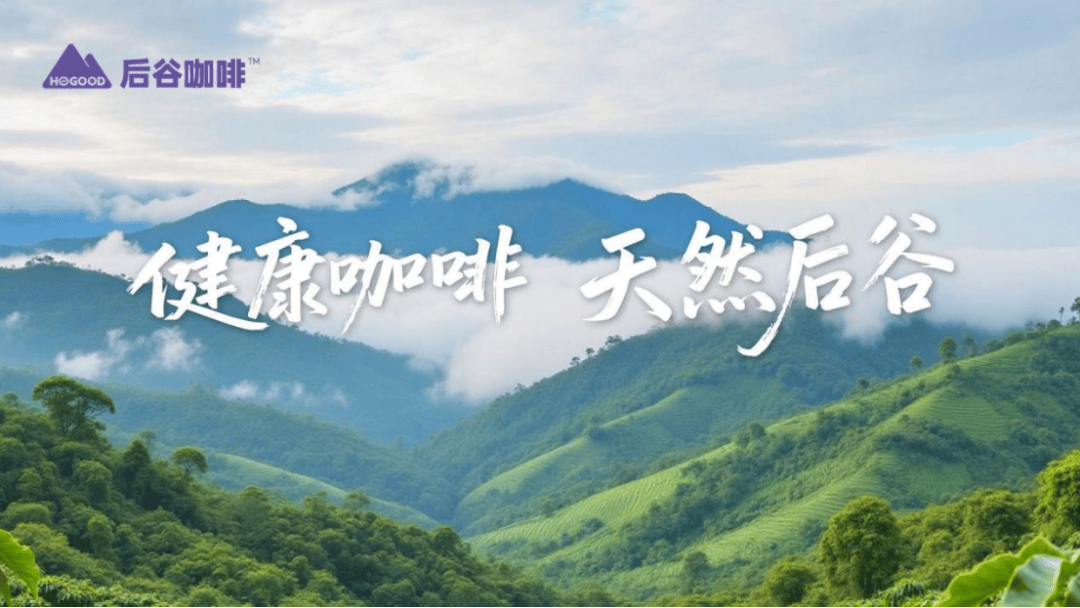 土第一咖啡品牌让中国味道香飘世界开元棋牌app奇正沐古助力国产本(图2)