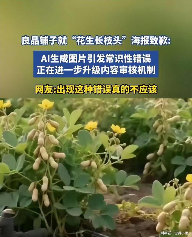 新闻：比段子更精彩的未曝光事件开元棋牌2025年啼笑皆非奇葩(图13)