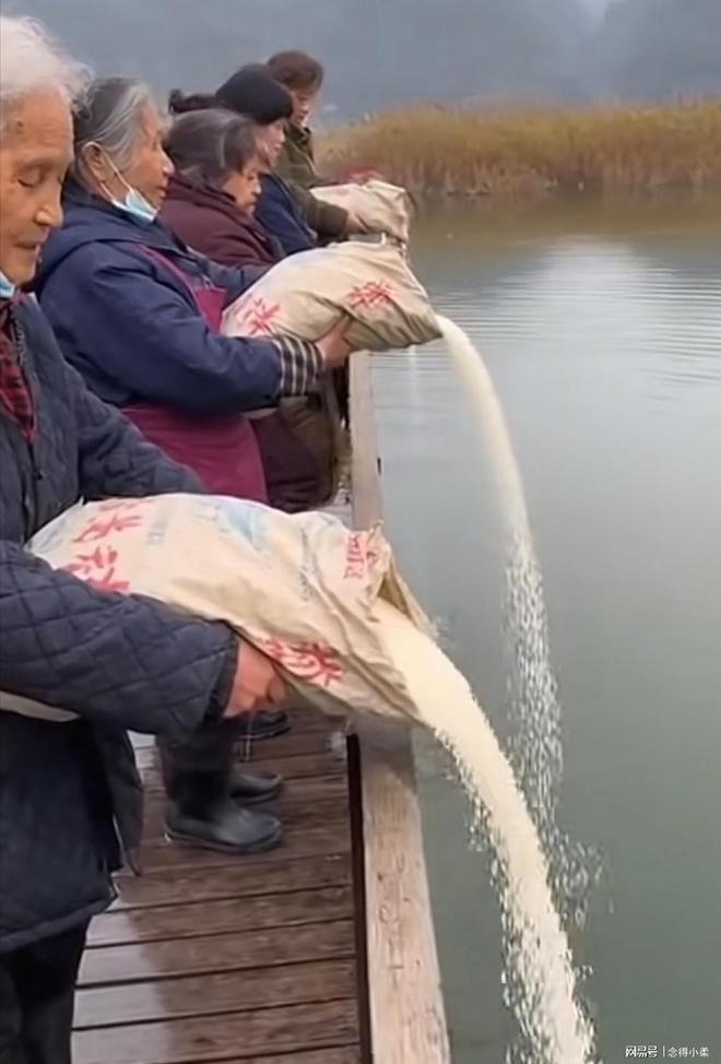 新闻：比段子更精彩的未曝光事件开元棋牌2025年啼笑皆非奇葩(图14)